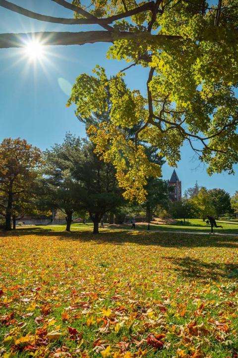 UNH Campus in the fall